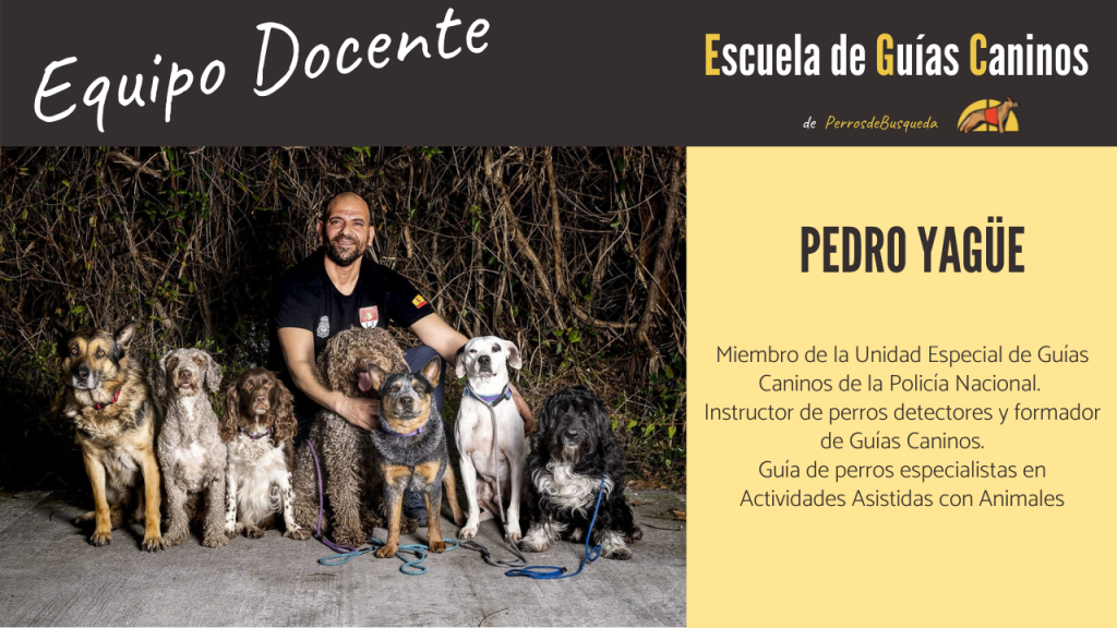 Pedro Yagüe-EGC