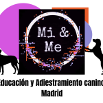 Mi&Me